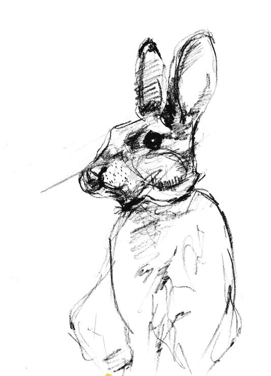 Rabbit or Kangaroo
