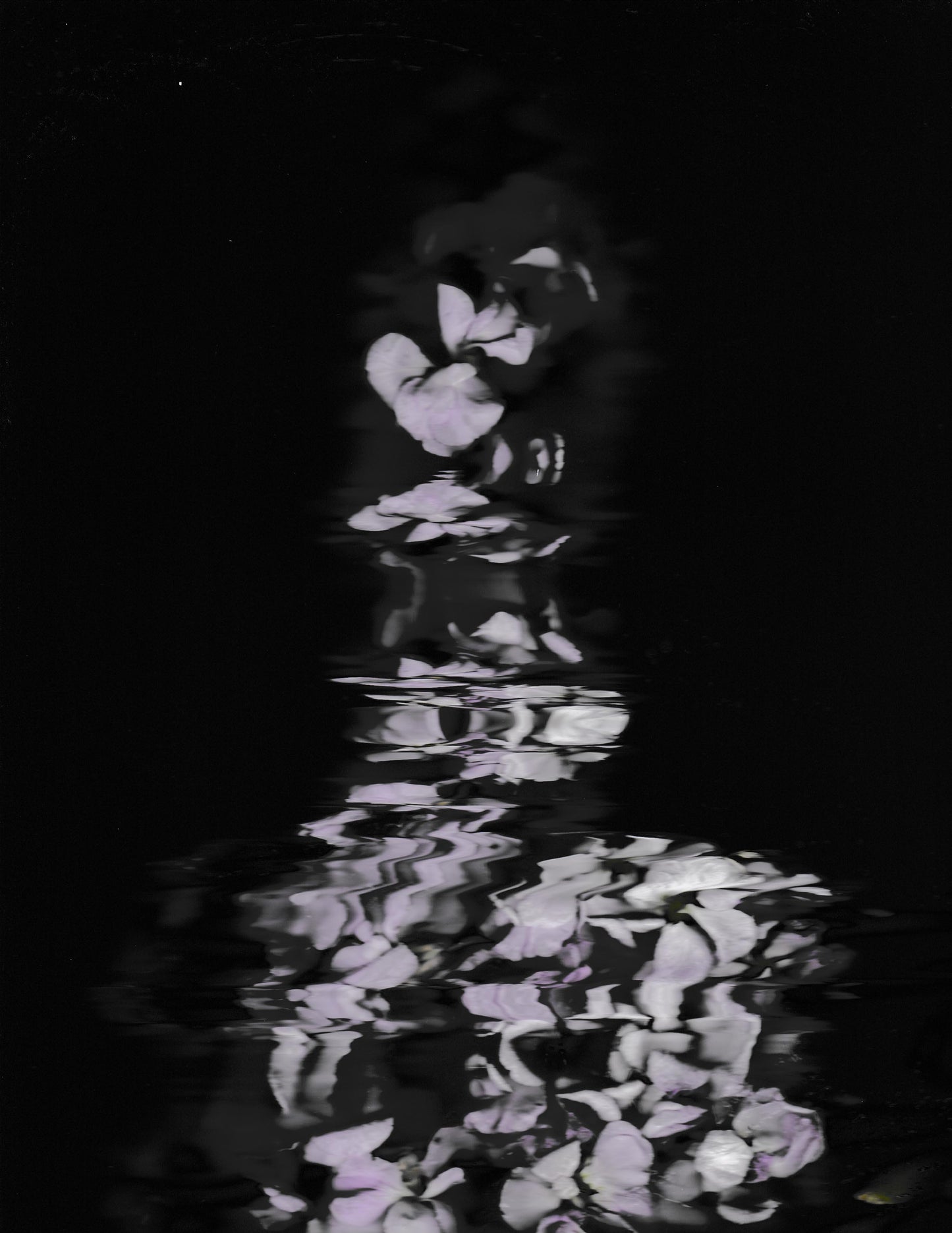 zWhispers in the Dark