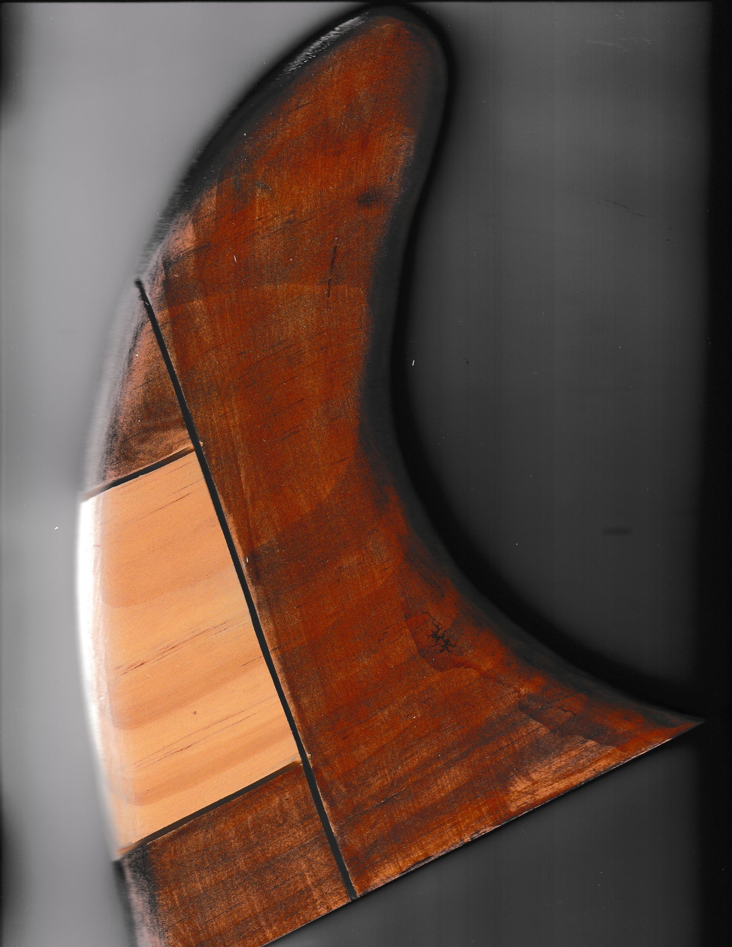 Rustic Fin